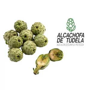 Alcachofa de Tudela