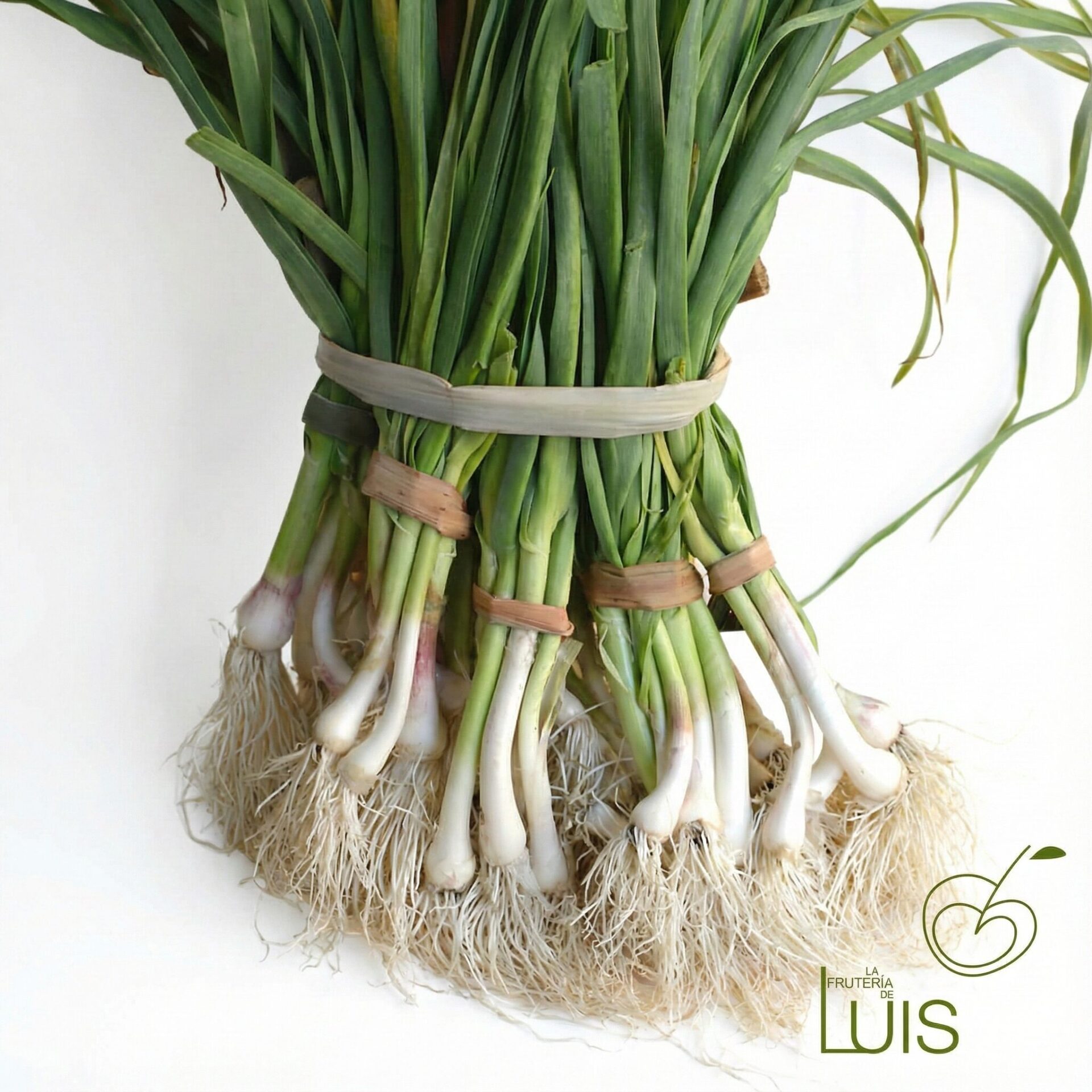 ajetes tiernos frescos La Frutería de Luis