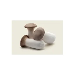 Boletus Cultivados Tienda verdura a domicilio Madrid