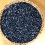 Lenteja beluga caviar