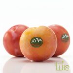 ciruela rose fresca y jugosa para postres